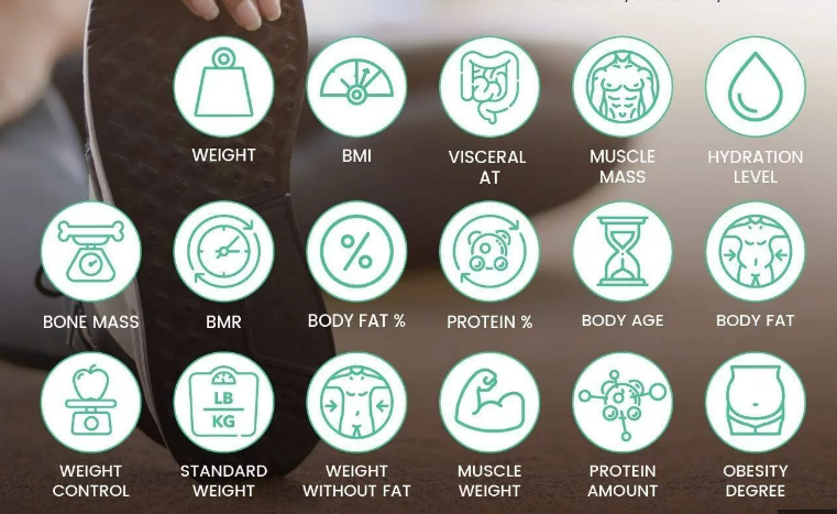 what-is-the-fittrack-scale-fittrack-scale-app-fittrack-scale-accuracy